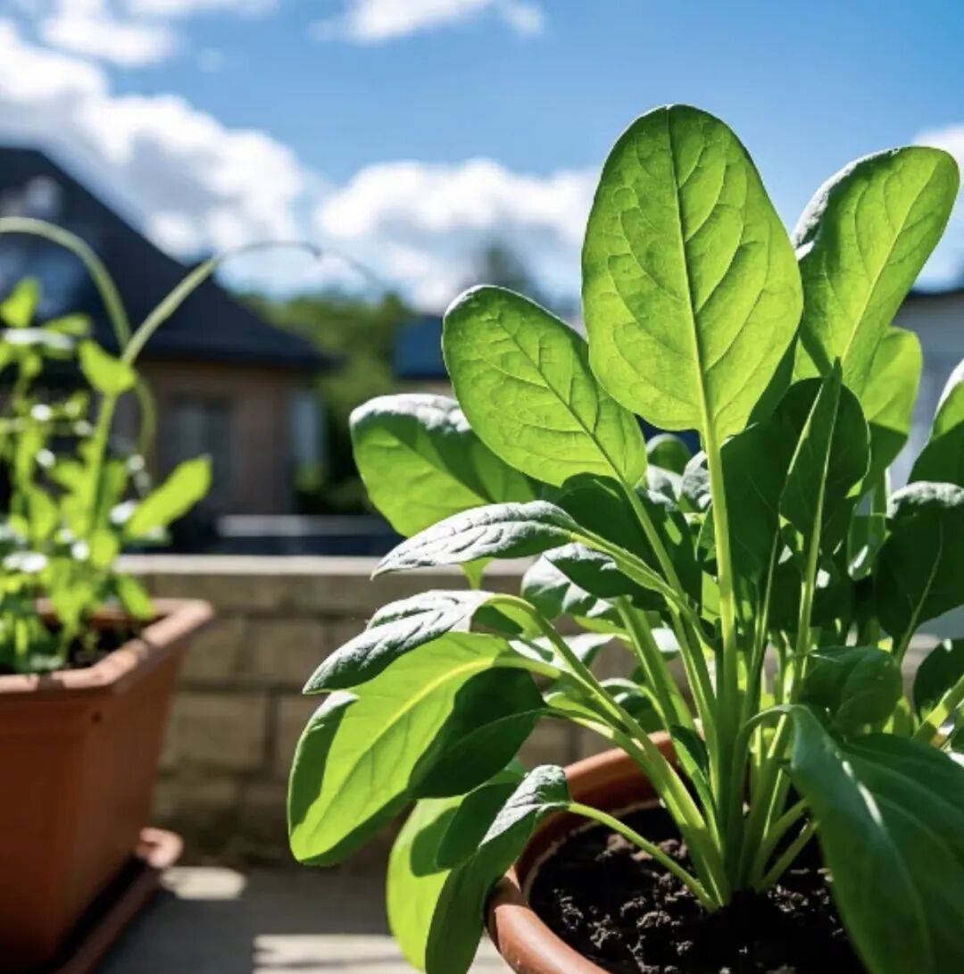 Tomasz Tomczyk tweet media