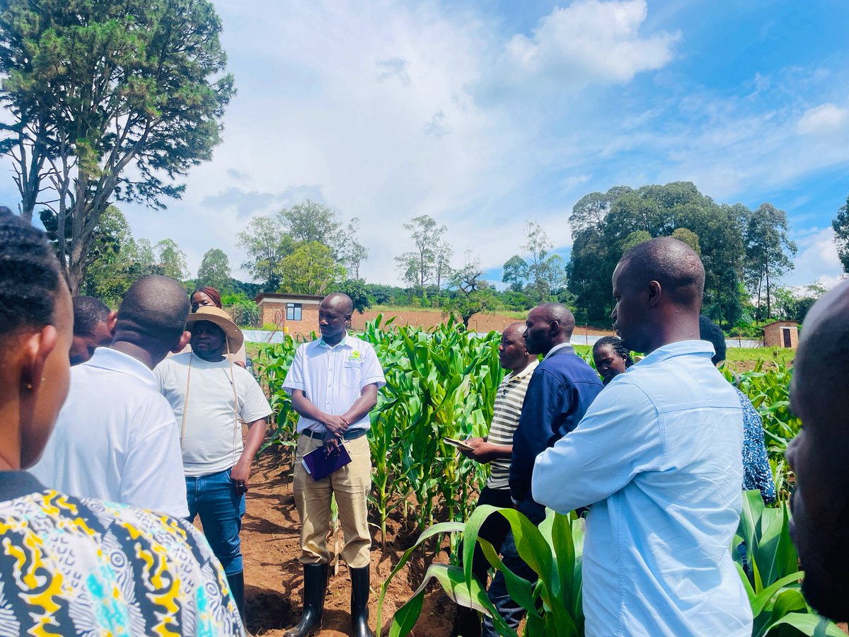 Alexis Nyandwi tweet media