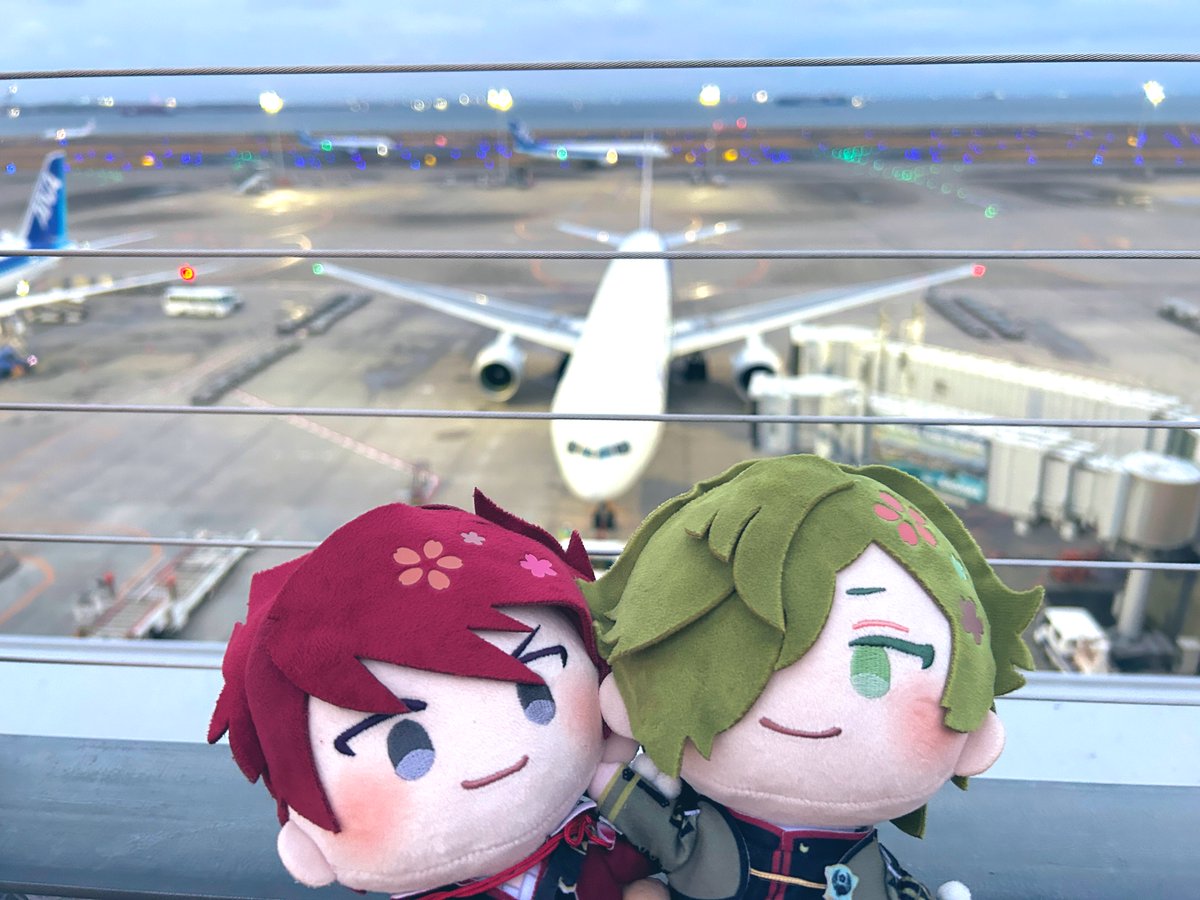 れも🍋 tweet media