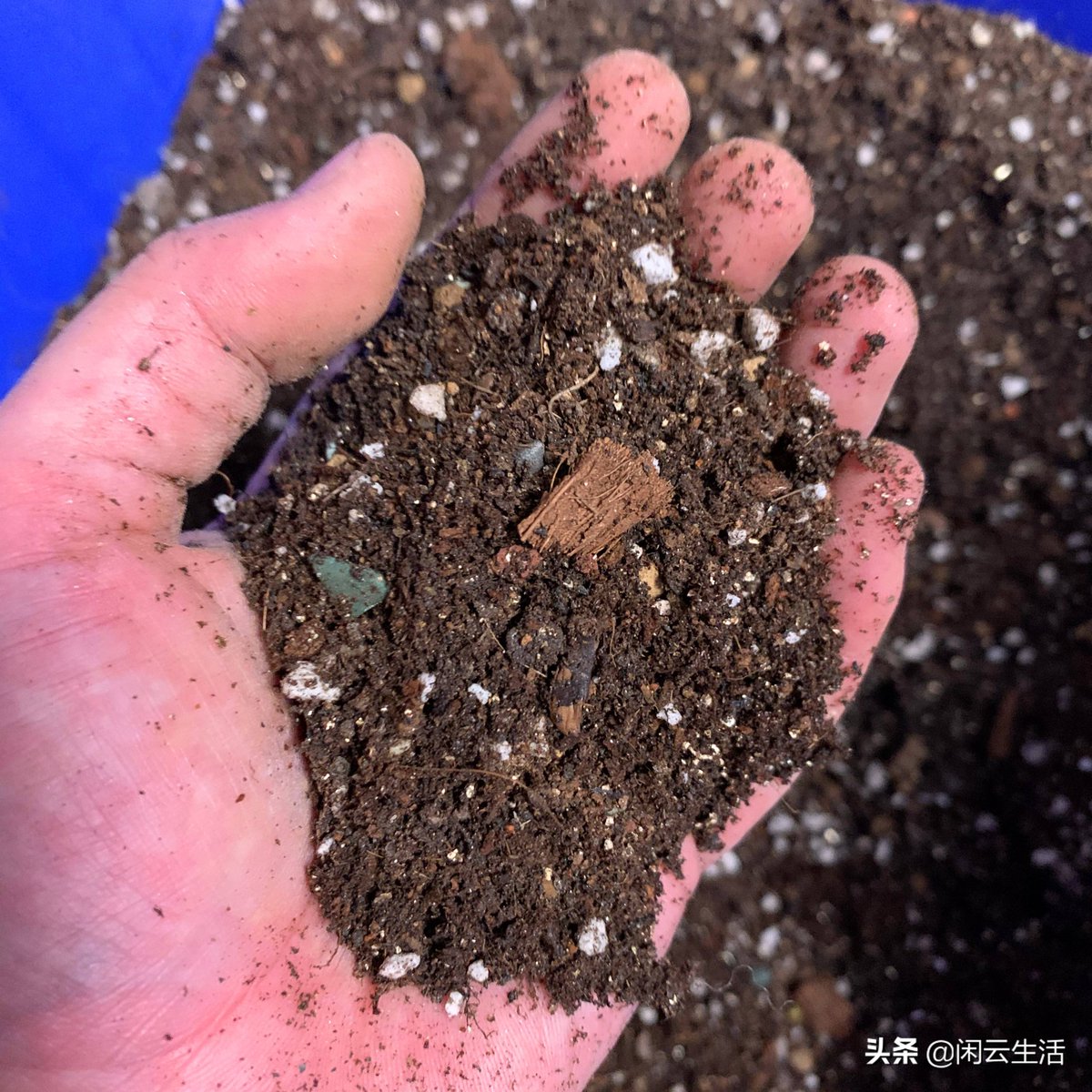 cinema peliculas tweet media