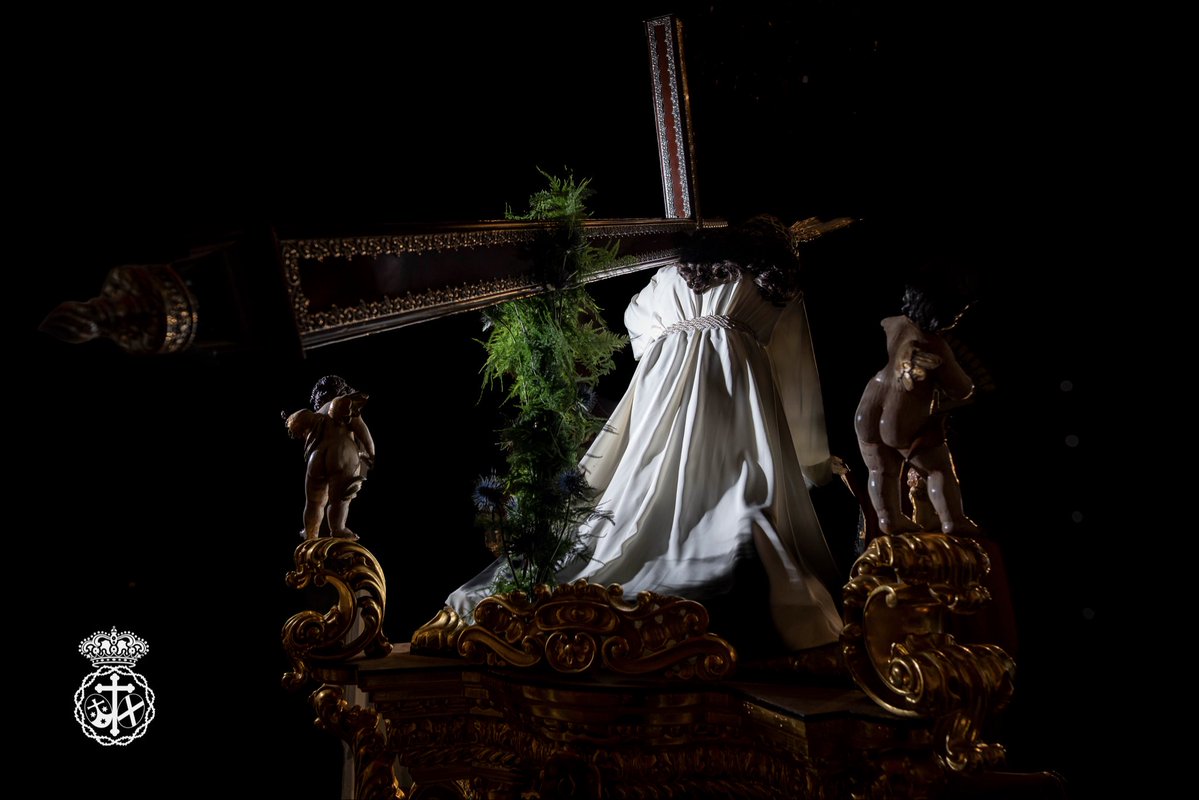 Misericordia Málaga tweet media