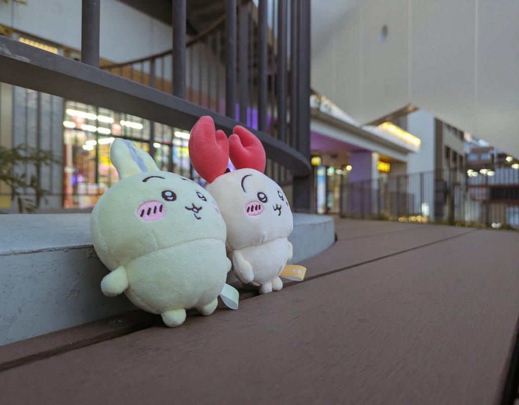 みっつー@4.5月は繁忙期につき低浮上 tweet media