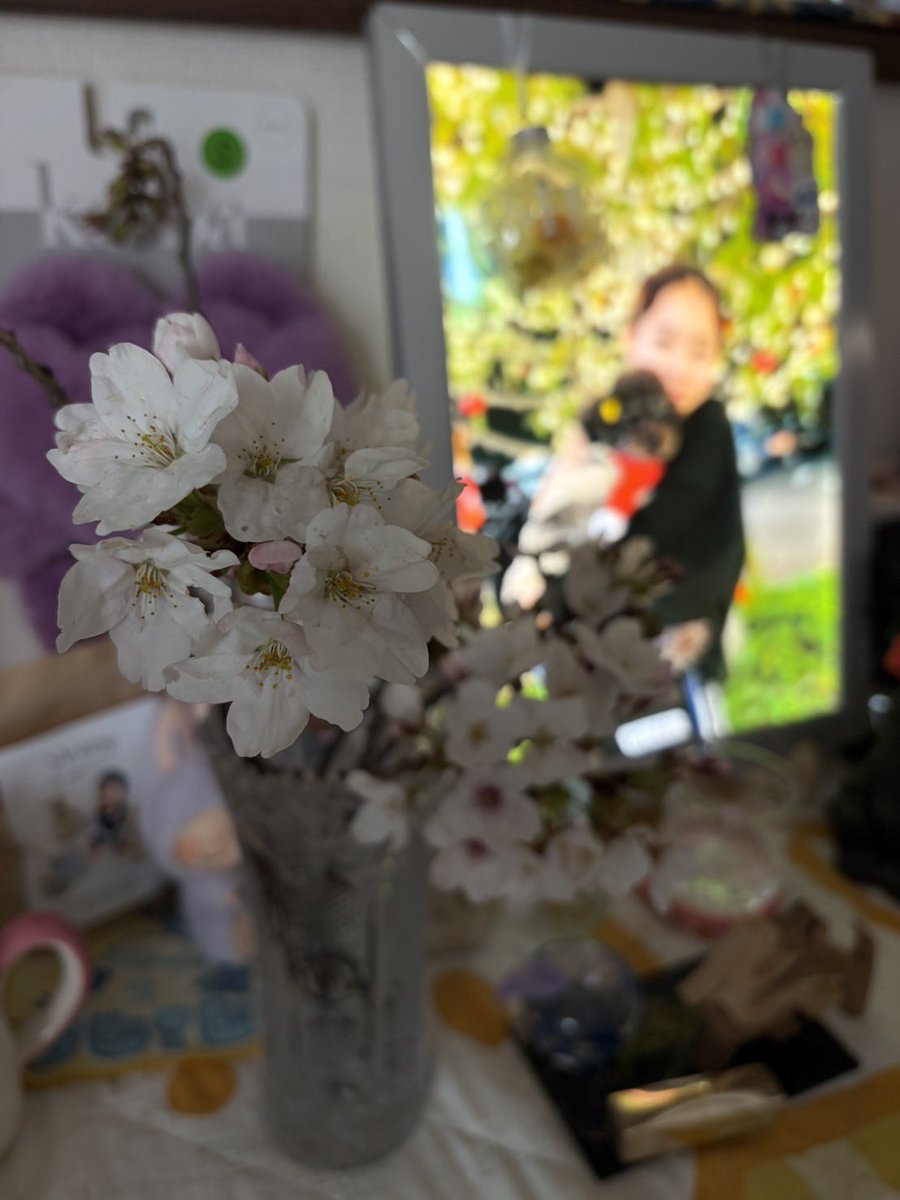 町田市いじめ公式アカウント tweet media