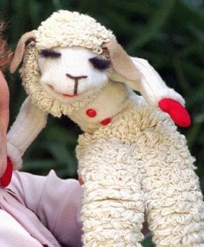 Jerseygirl #FBR 🟧 tweet media