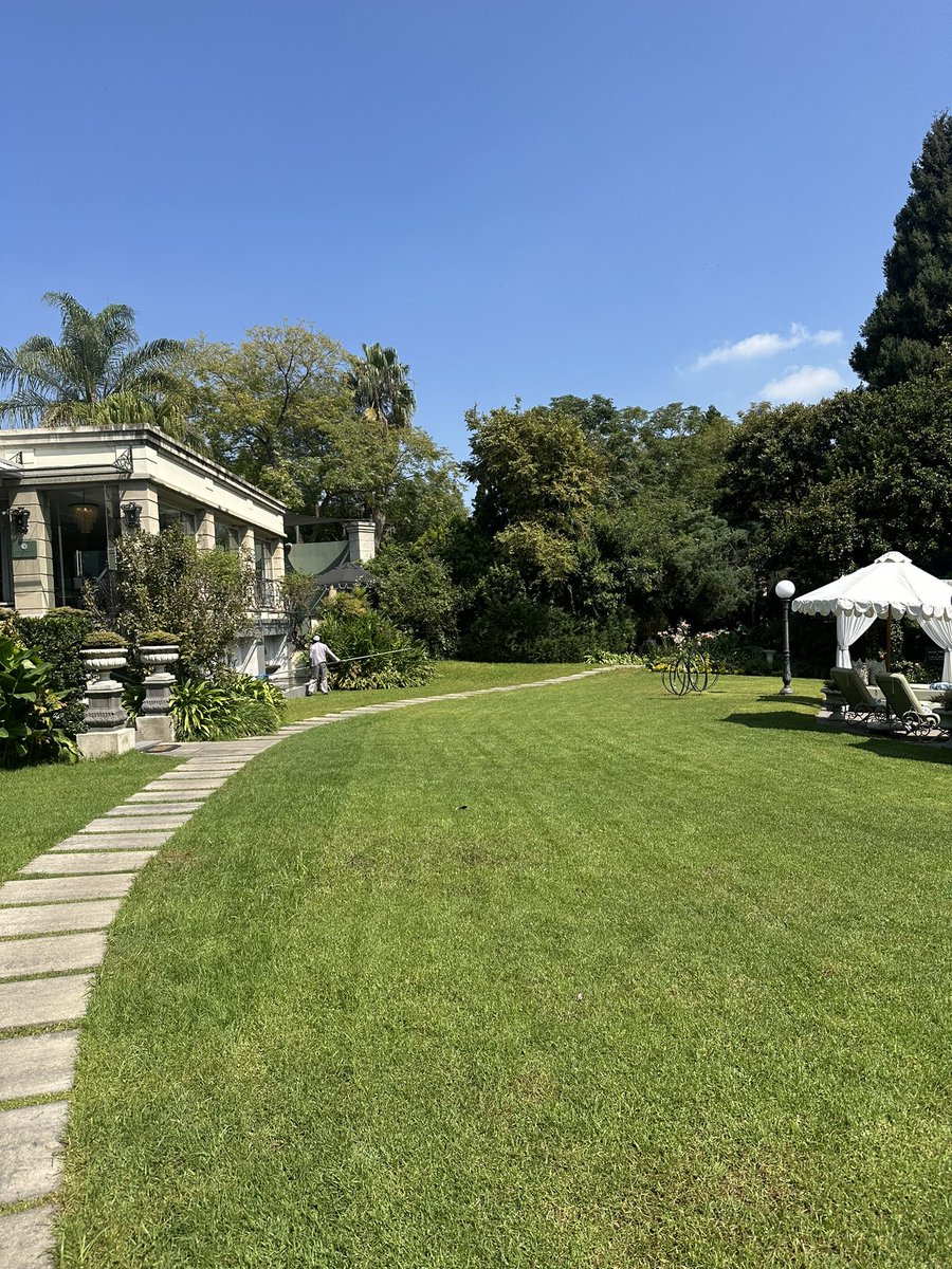 Llewellyn Devereaux 𓋹 | Rainmaker 🇿🇦 tweet media