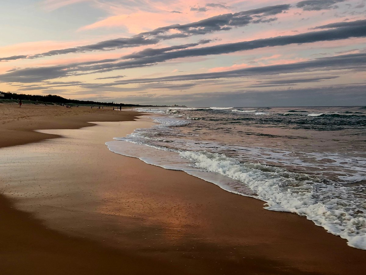 Sunflower123 tweet media