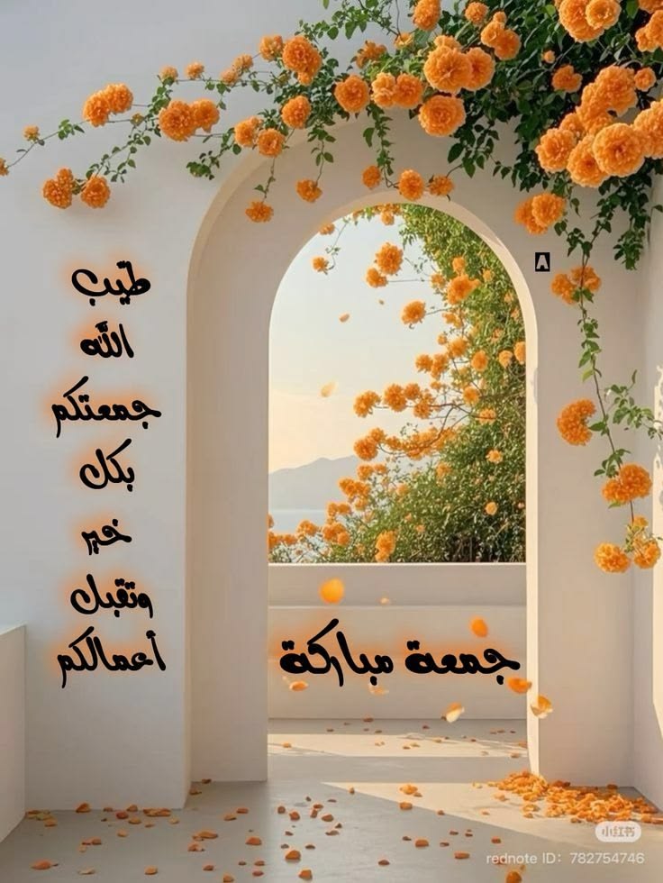 Lamiaa Mohamed tweet media