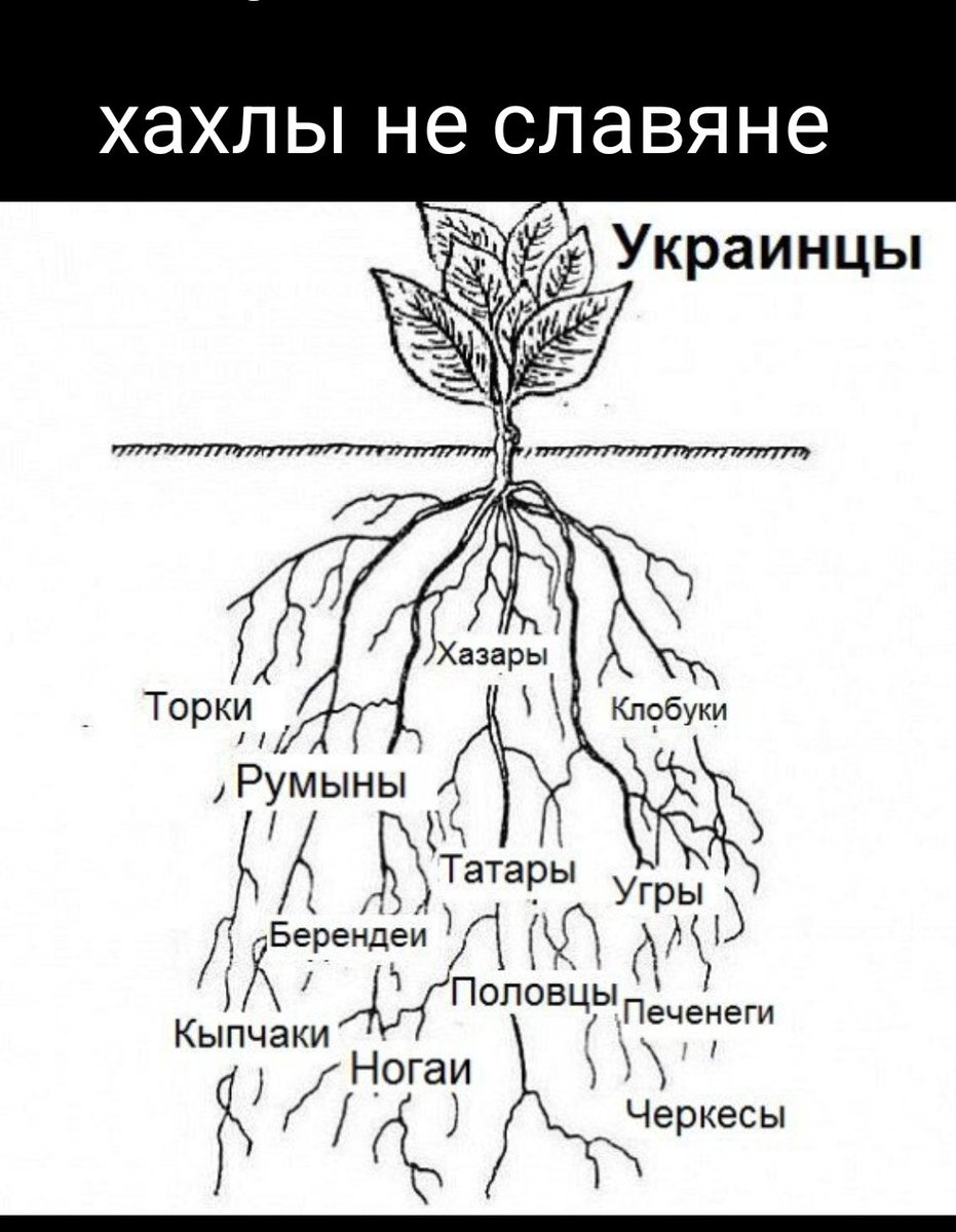 Рулевой Мытищ tweet media