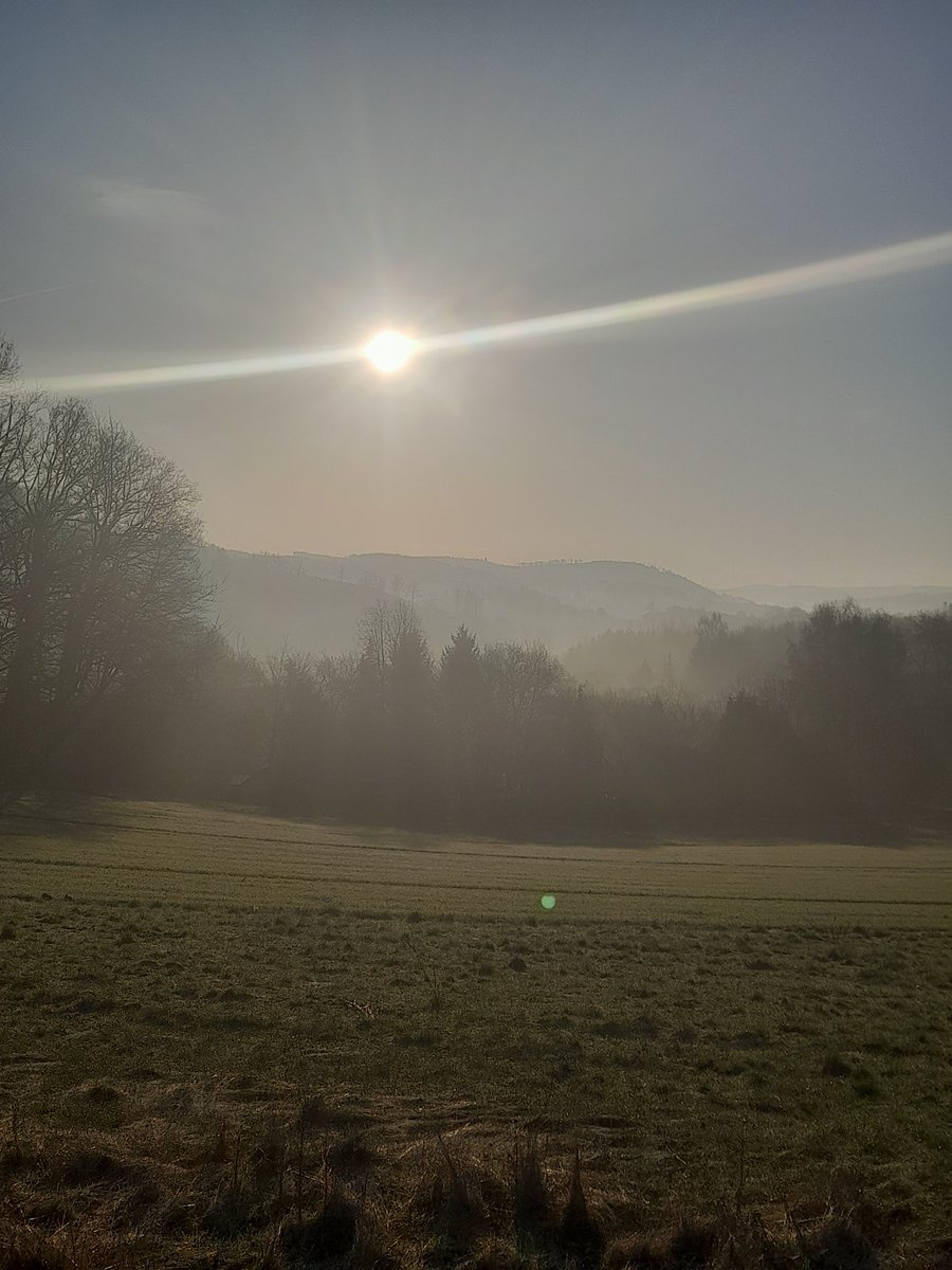 wolf remke tweet media