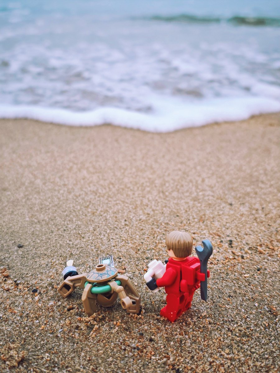 🌿🌸헤이즐🌸🌿 tweet media