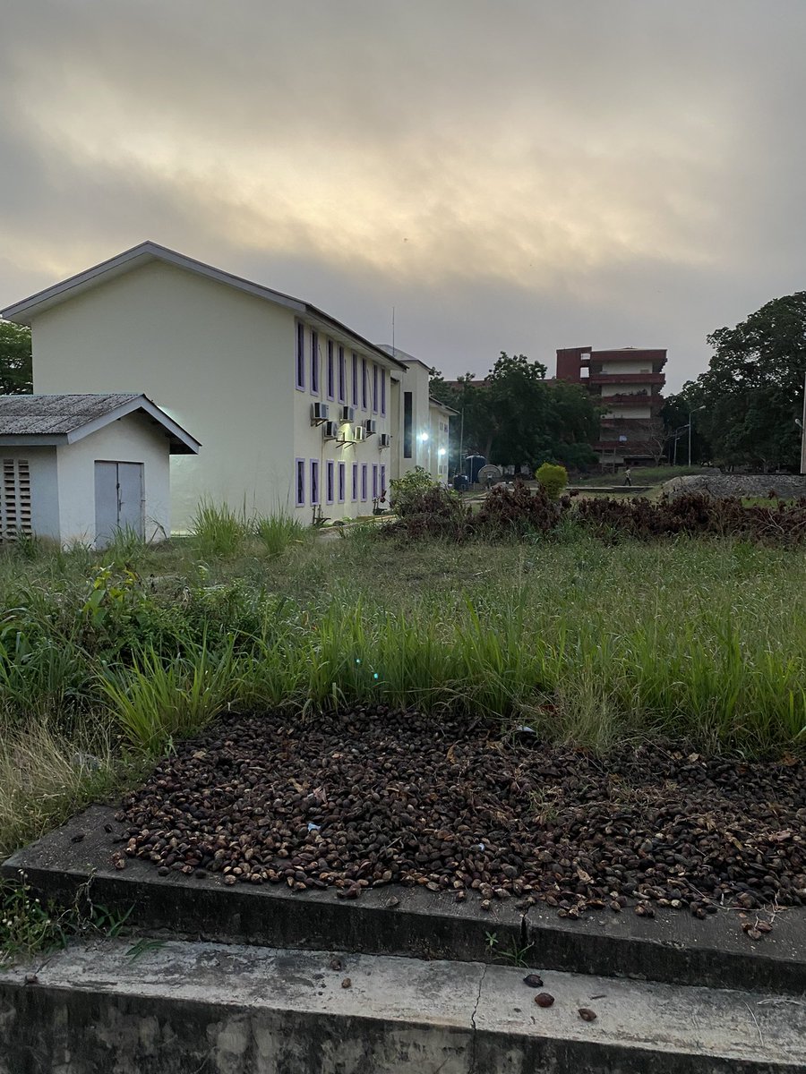 Timothia 🍒 tweet media