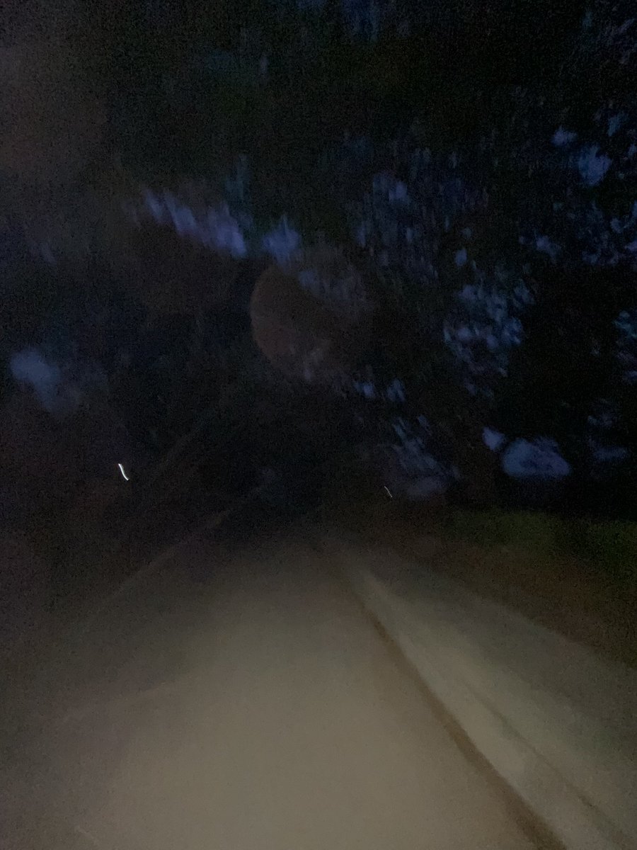 Timothia 🍒 tweet media