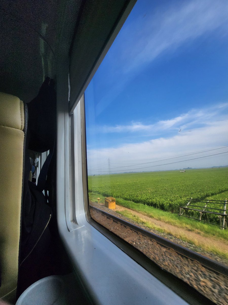 A Stark in Slytherin tweet media