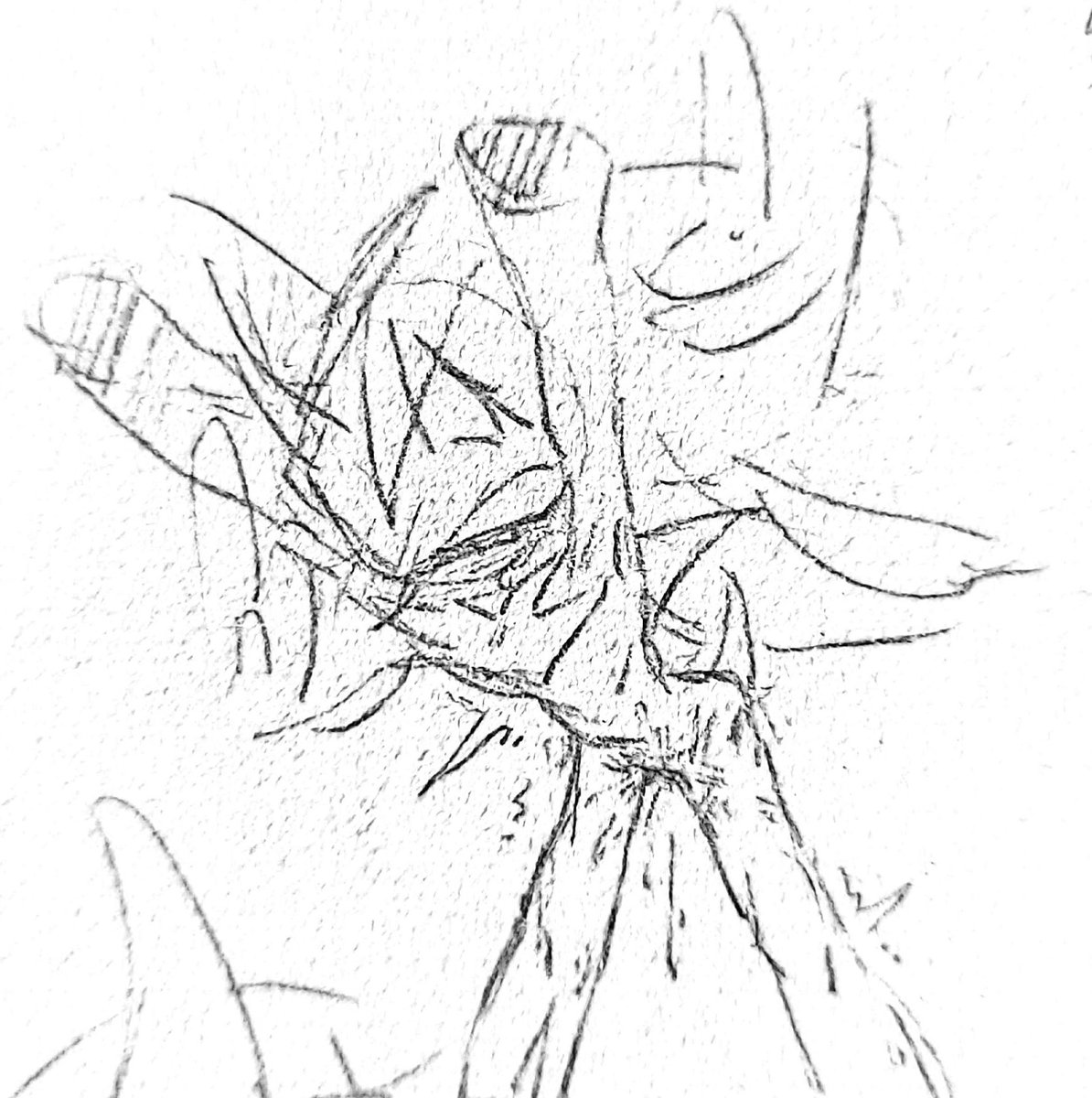 Flld_味 tweet media