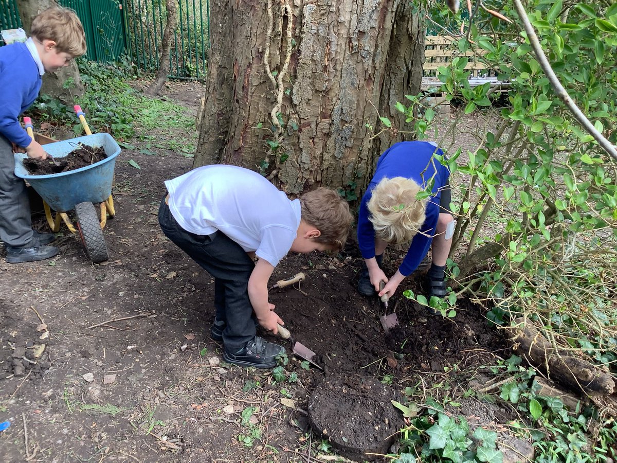 Hedgehogs-SAFontmell-Rec tweet media