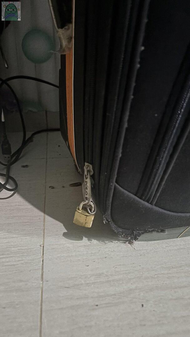 Tanyarlfes tweet media