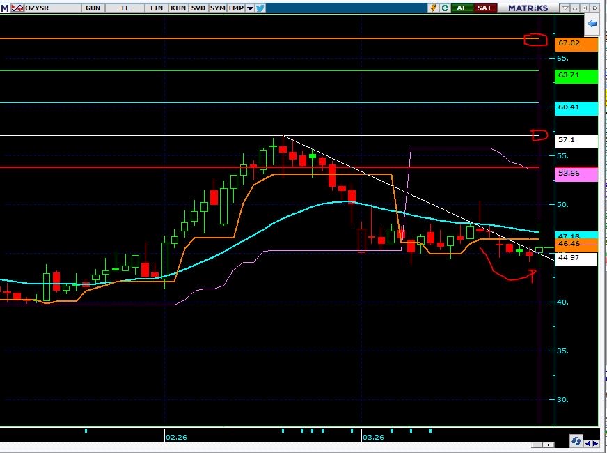 LadyTrakya💹 tweet media