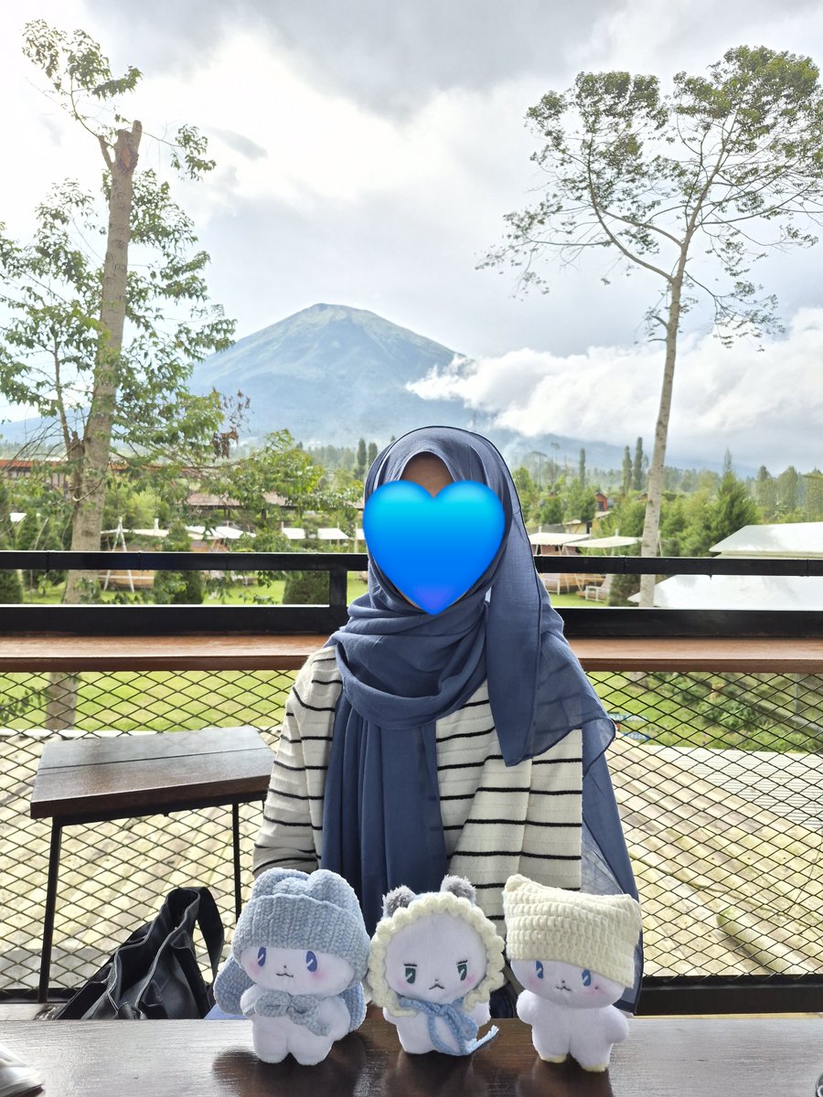 Vivi 🐋 tweet media