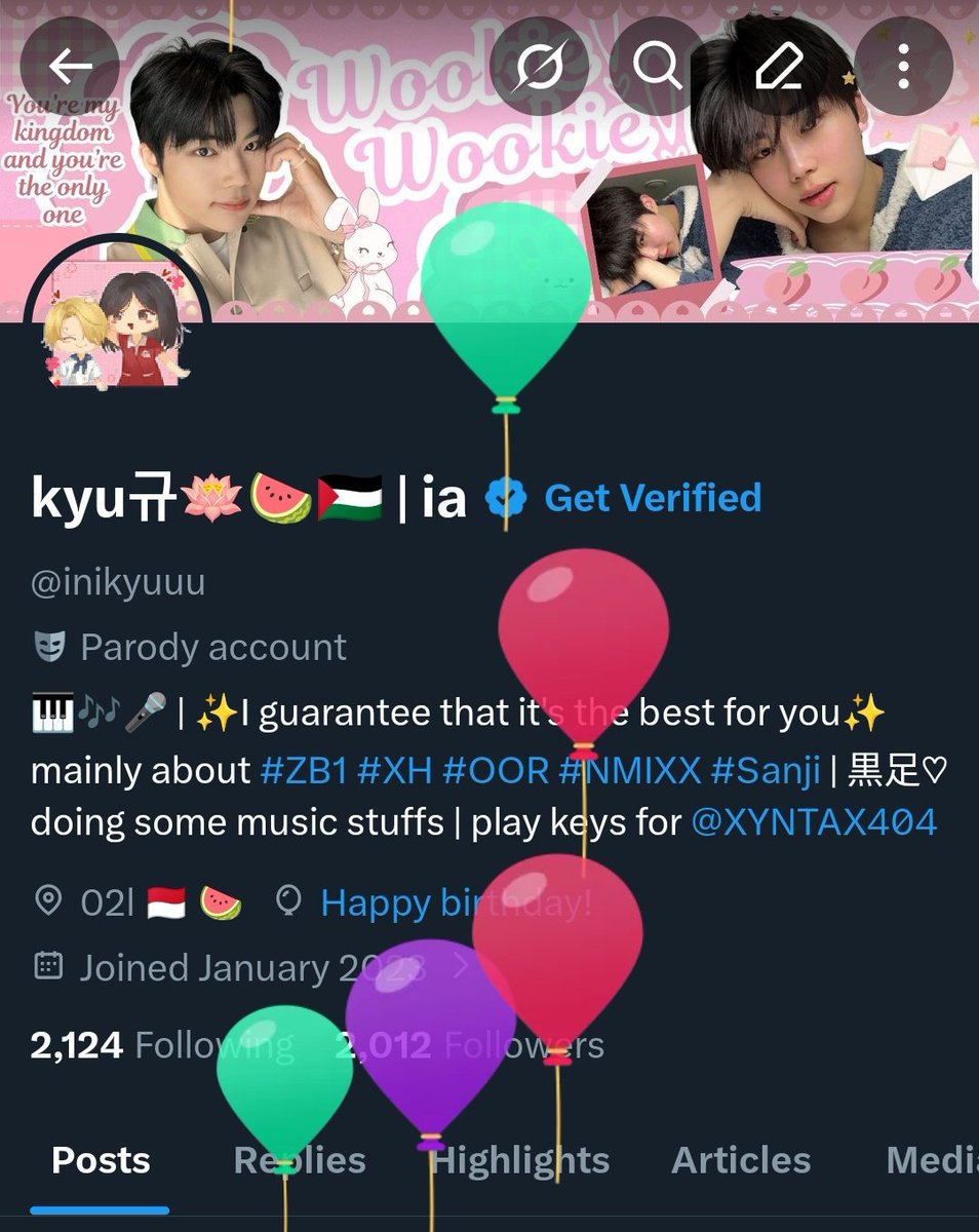 kyu규🪷🍉🇵🇸 | ia tweet media