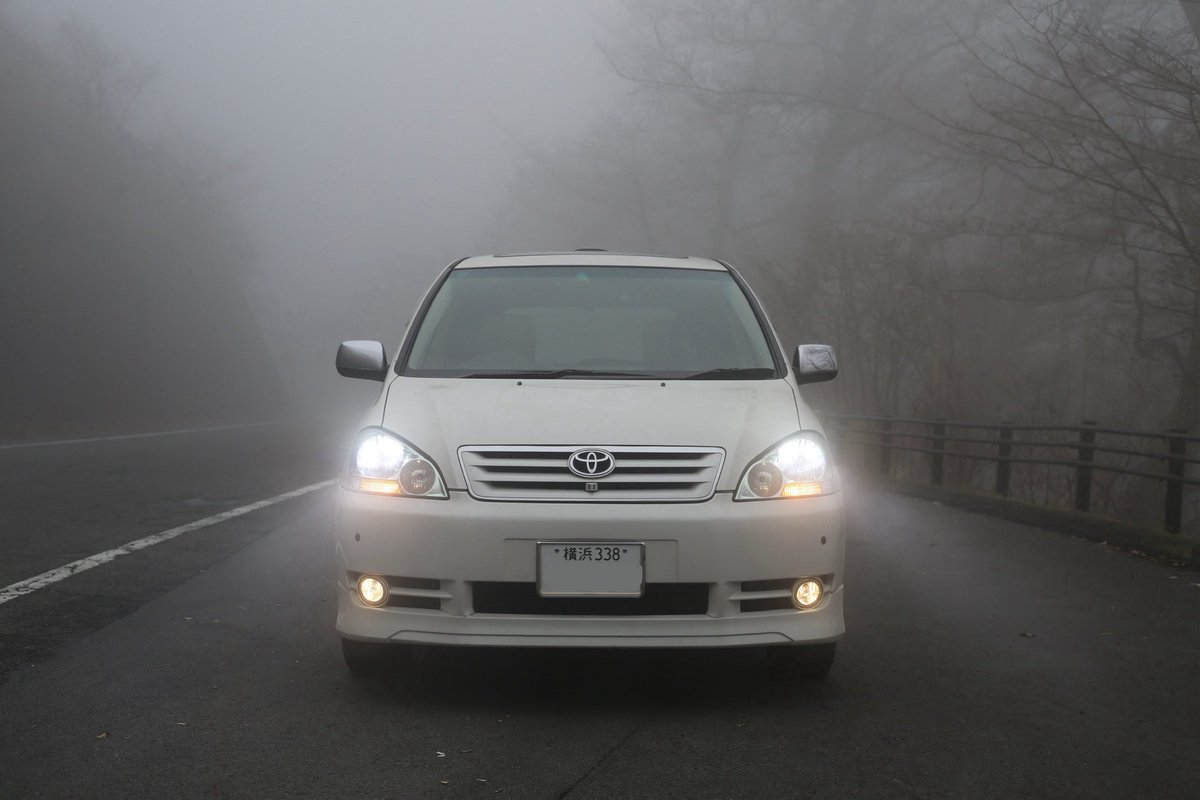 いぷさ tweet media