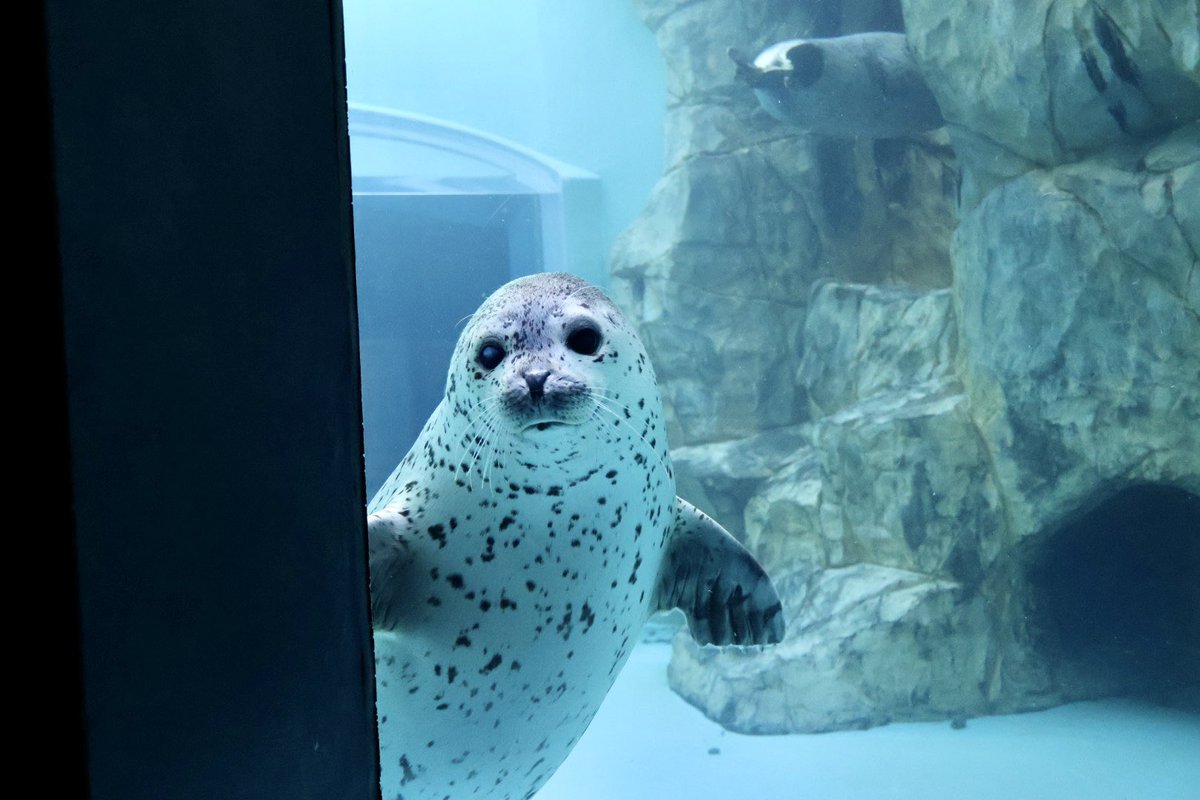 てゃろ tweet media