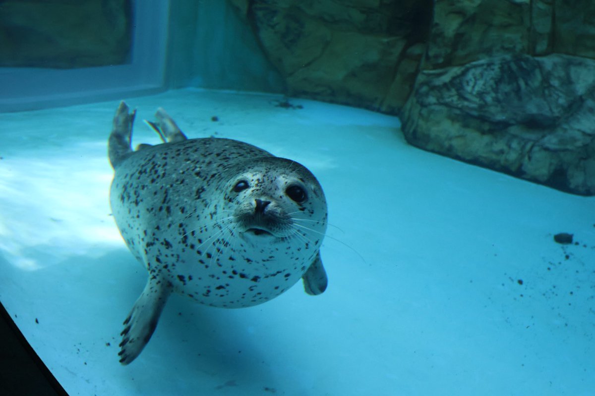 てゃろ tweet media