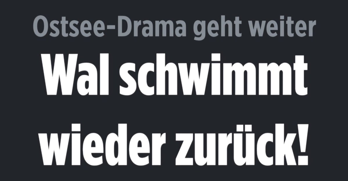 Stef Ha 📯 tweet media