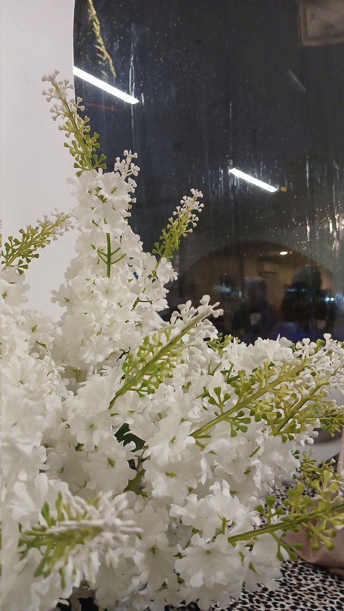 Bantu Tugas / Diskusi Tuton || affordable by kiet tweet media