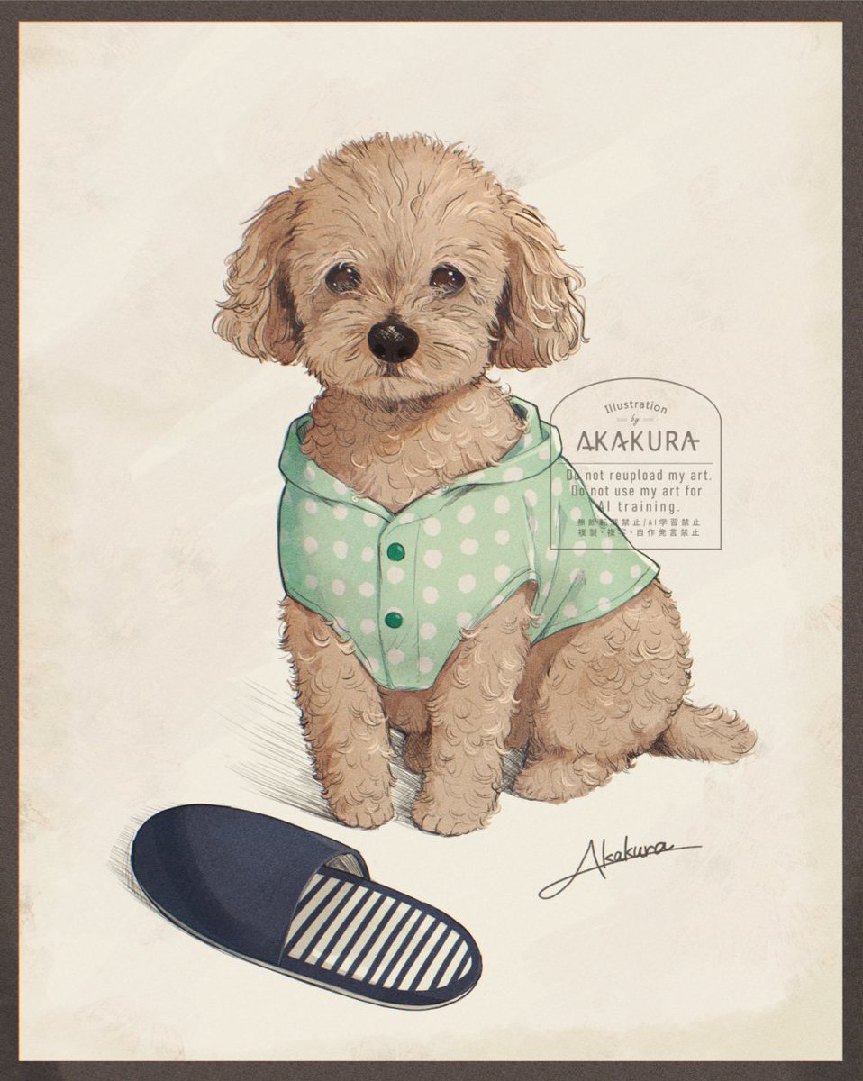 赤倉🧸初画集「Ludique」発売中 tweet media