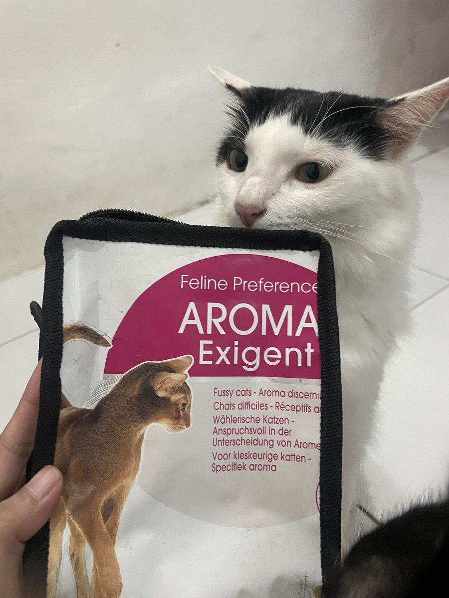 Marvelia Cantika tweet media