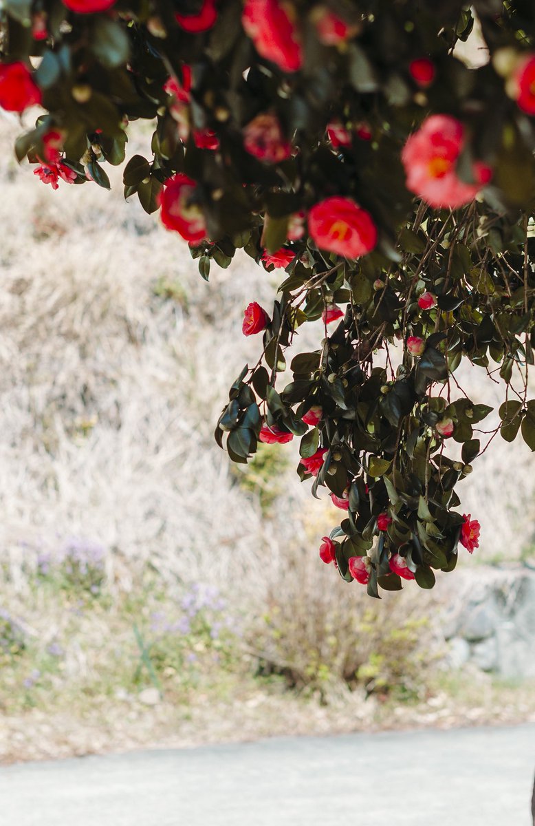 木佐貫直人/art6d tweet media