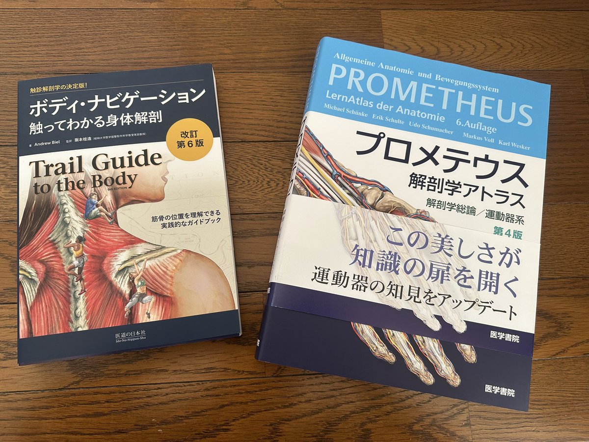 【中野区野方】薄毛の鍼|のむち tweet media