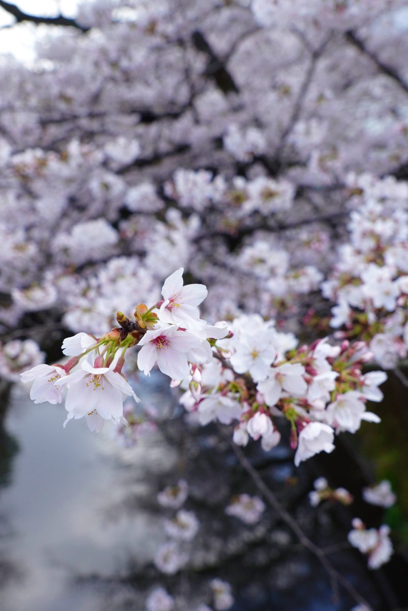 HIDEO_KOJIMA tweet media