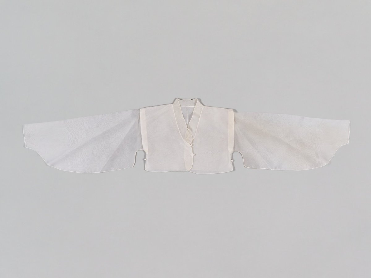 늘푸른소나무 tweet media