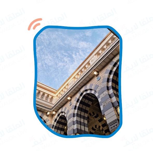 الملقا لايف tweet media