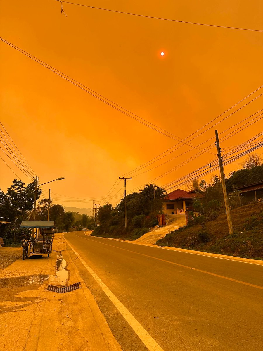 Chiang Mai News tweet media