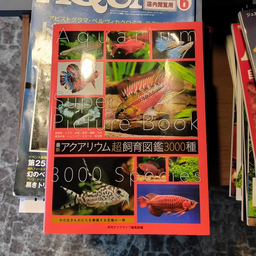 ウイステリア/水槽屋.com tweet media