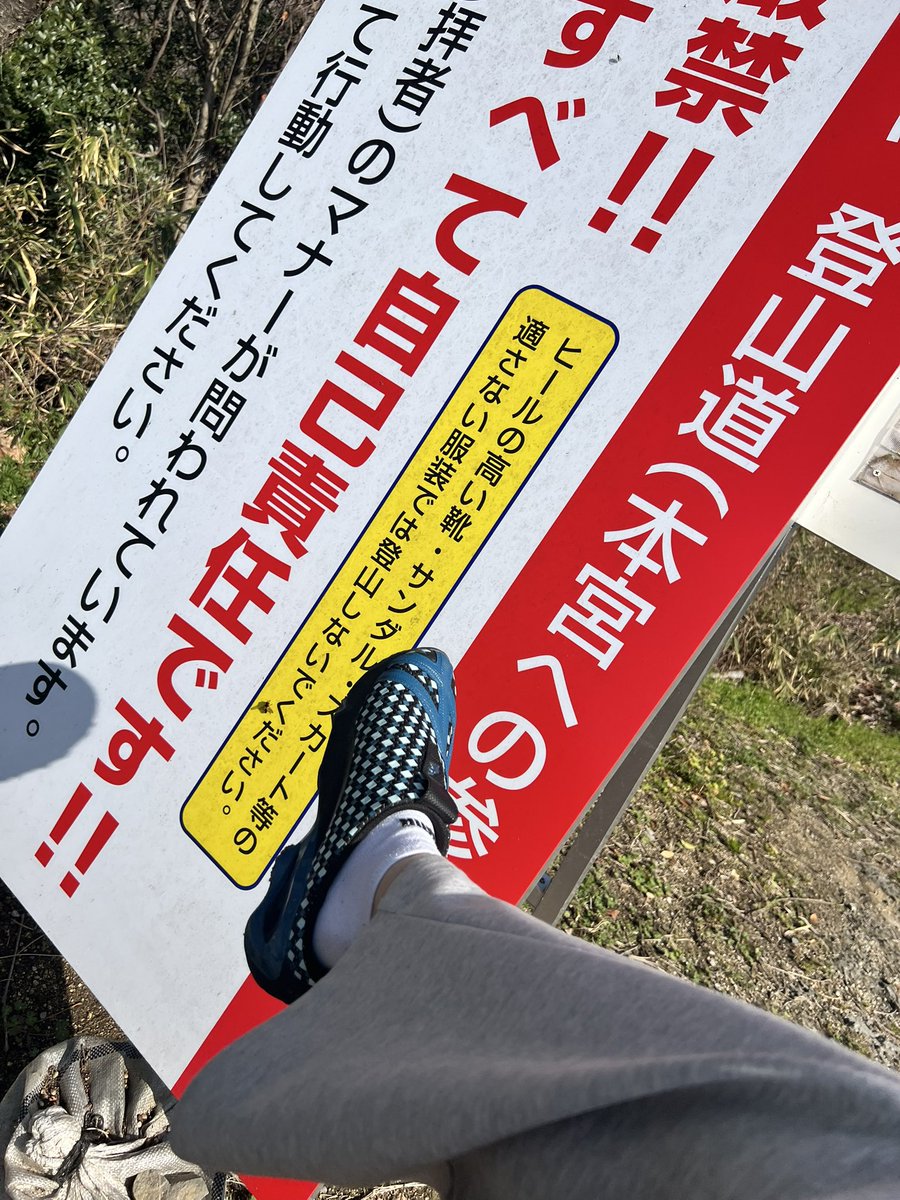 ま tweet media