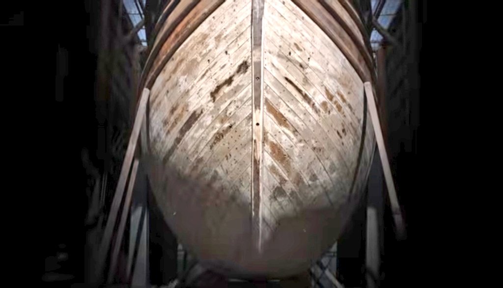 Alberto Albertus tweet media