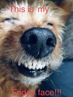 Caravans & Campers tweet media