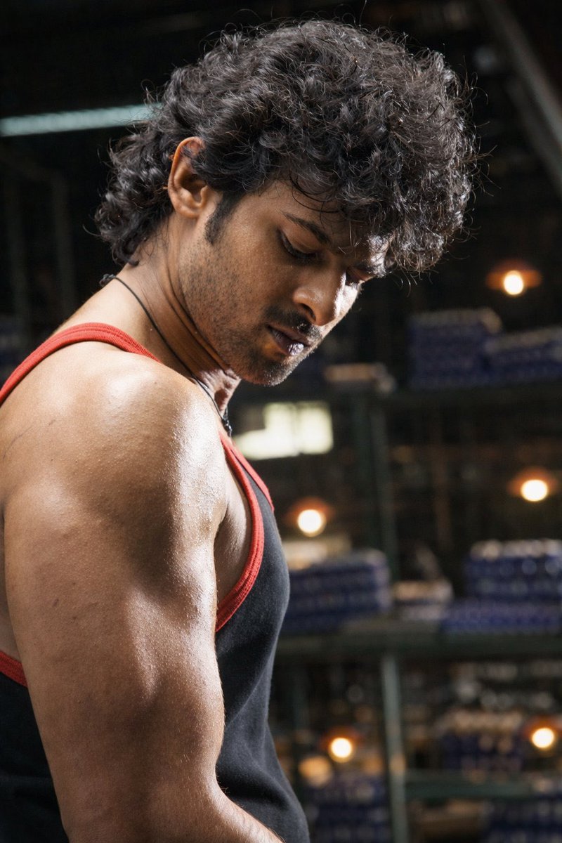 VikramShelby tweet media