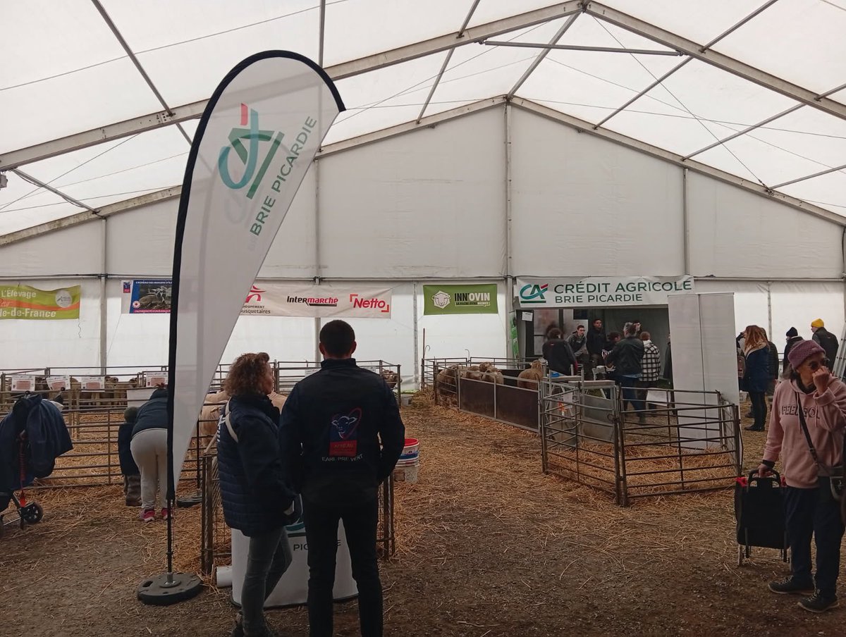 Inn'Ovin tweet media