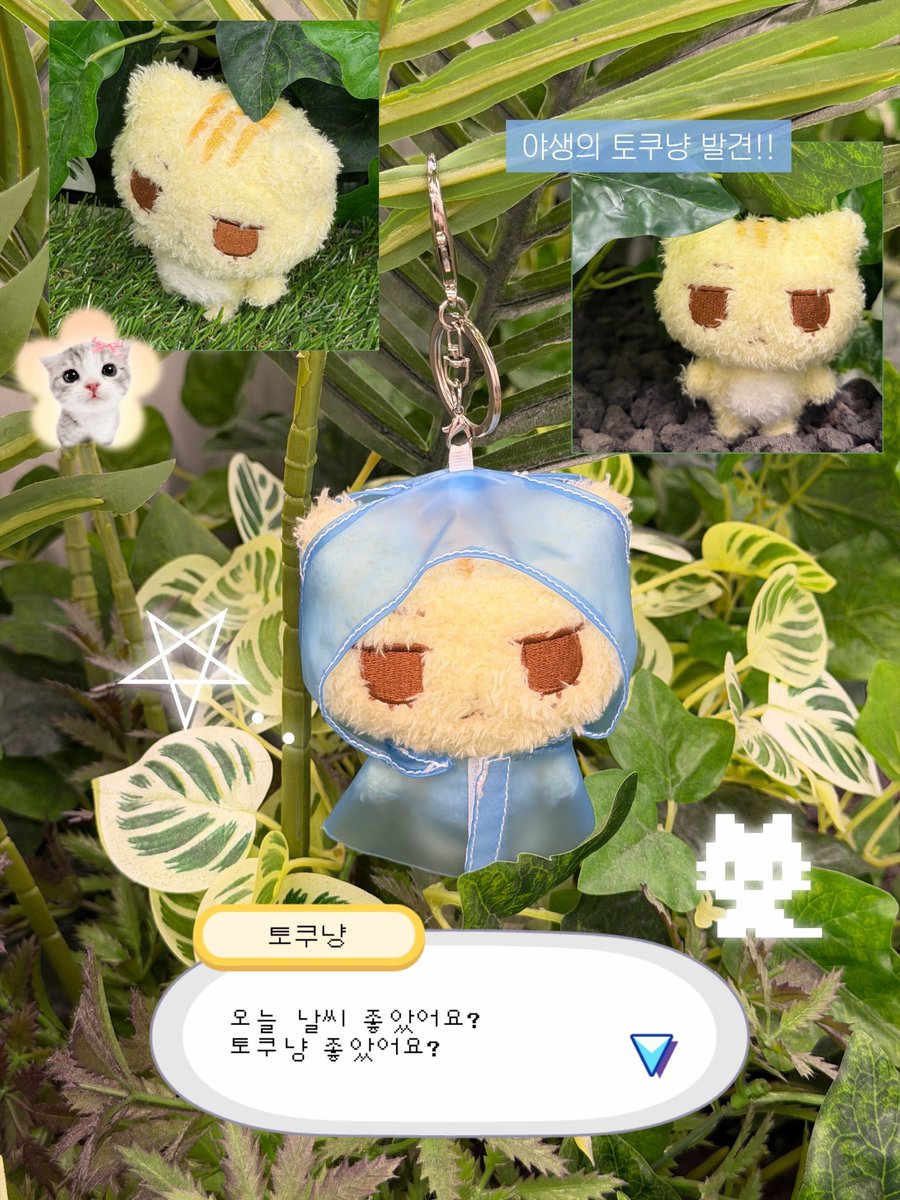 날씨요정 토쿠노 tweet media