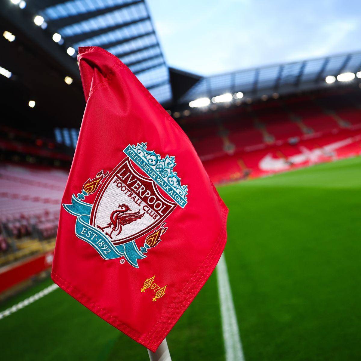 شبــكـــة لــيفــربــول 🐦‍🔥 tweet media