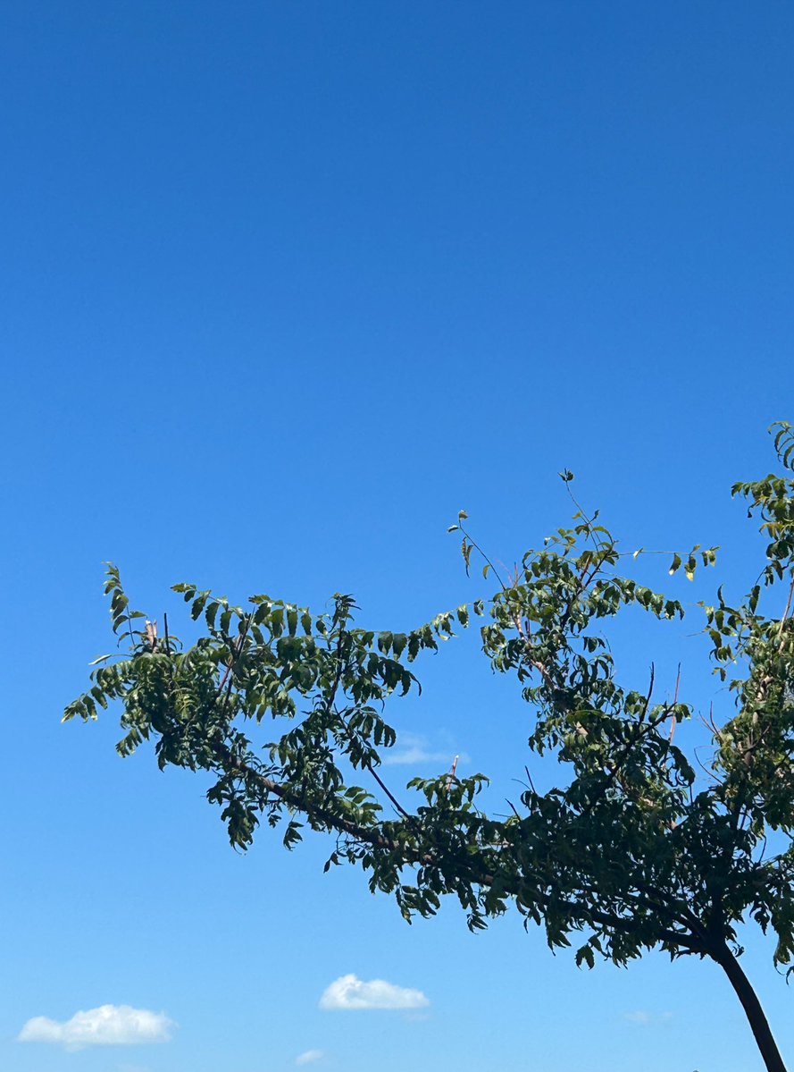 َ|صيلٰ tweet media