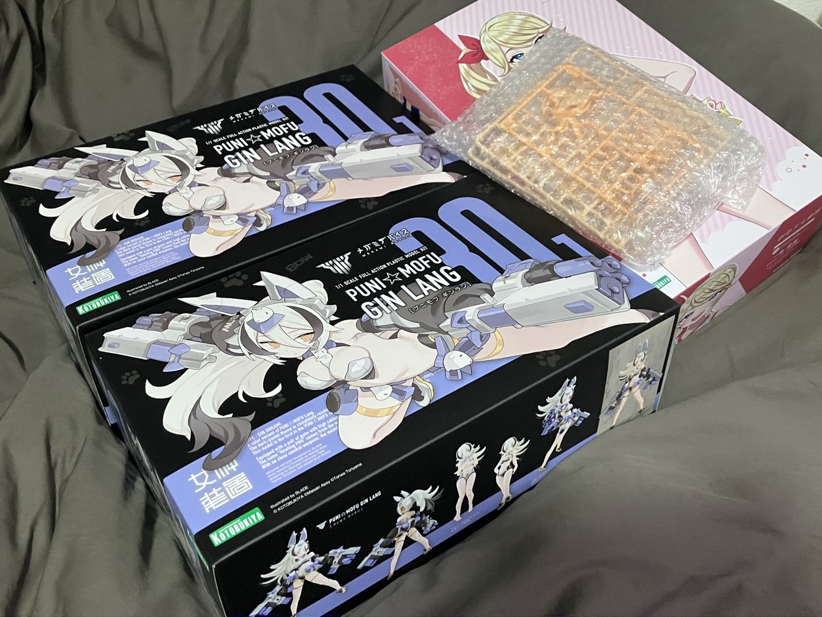 白銀@銀髪共和国立銀髪大学紅ツリ眼学部ポニテ学科巨乳姉研究会兼銀髪ダークエルフ研所属_【公式𝕏 】 tweet media