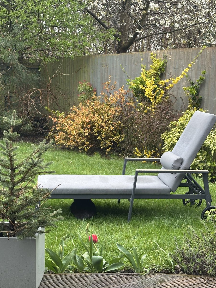 MunchPudding's tweet image. Good morning furiends &amp;amp; Happy #Friyay!! 😻  It’s raining this morning!! ☔️ First of all I sat under the sun lounger but then despite it being that fine rain that gets you really wet, I decided to sit ON the sun lounger! I’m going to need a #Grumple 🐾 😺 💦 #Hedgewatch