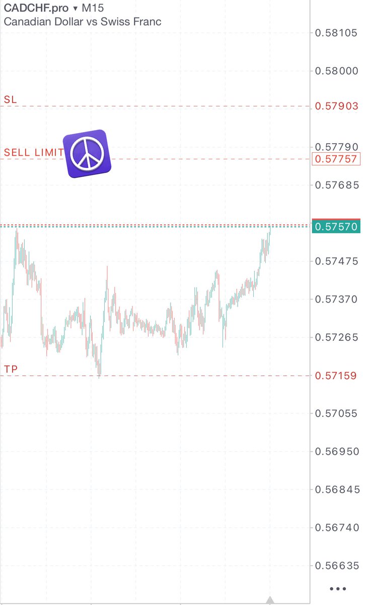 Clintimenia tweet media