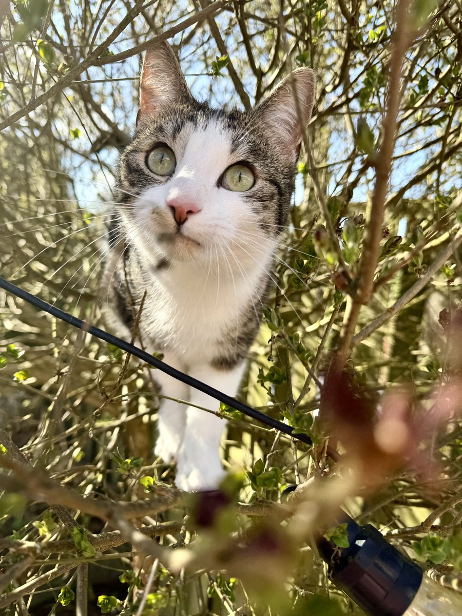 Josan✨ tweet media