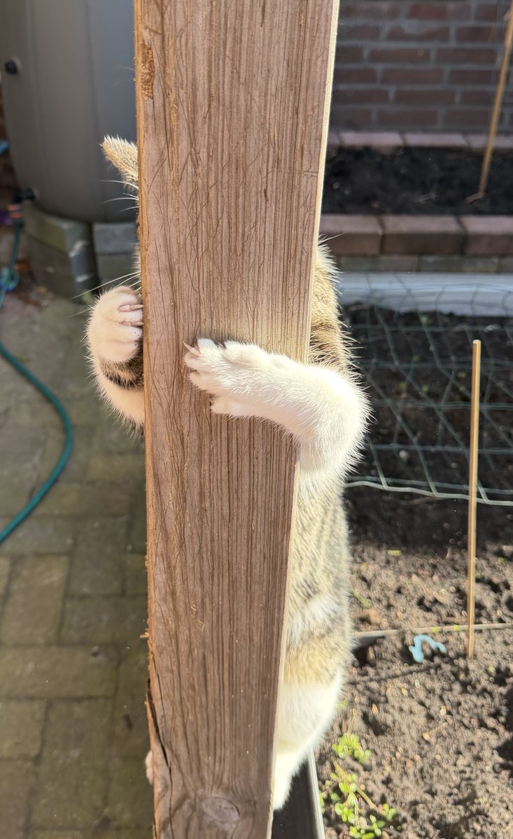 Josan✨ tweet media